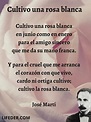 21 poemas de flores originales y de autores clásicos