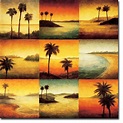 Palm Perspectives by Gregory Williams Gallery Wrapped Canvas Giclee Art ...