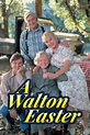 A Walton Easter (Movie, 1997) - MovieMeter.com