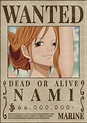 NAMI bounty wanted poster one piece in 2021, nami wanted poster HD ...