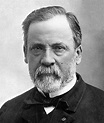 ¿Quién fue Louis Pasteur? ¿Qué hizo? (Resumen) — Saber es práctico