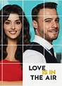 Love Is In The Air - Reparto Completo de Love Is In The Air - CINE.COM