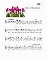 Tulpen uit Amsterdam Sheet music for Melodica (Solo) | Musescore.com