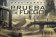 MAZE RUNNER: PRUEBA DE FUEGO - PELÍCULA COMPLETA ESPAÑOL LATINO (HD ...
