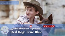 ¿Qué tal es la película? ^ Red Dog: True Blue – El Sabanero X