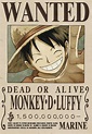 Carteles de recompensas | Wiki | •One Piece• Amino