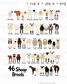46 Breeds of Sheep Chart Svg Png Jpg 1620 | Etsy
