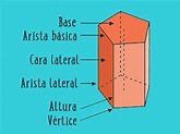 ¿Cómo se estudia un prisma pentagonal? Explicación detallada