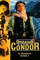 La armadura de Dios 2: Operación Cóndor (película 1991) - Tráiler ...