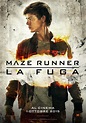 Ecco il trailer italiano di Maze Runner - La Fuga insieme a character ...