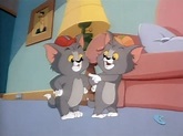 Image - Tom and Tim in Living Room.png | Tom and Jerry Kids Show Wiki ...