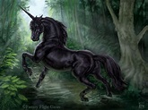 Black Unicorn by feliciacano.deviantart.com on @deviantART | Black ...