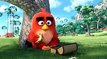 Angry Birds Main Character, HD Movies, 4k Wallpapers, Images ...