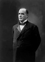 William McKinley | Biography, Presidency, Assassination, & Facts ...