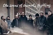 The Sound of Animals Fighting announce first EP in 15 years & 2023 tour