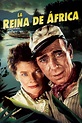 Ver La reina de África (1952) Película Completa en Español - Películas ...