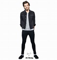 Pin de Zoè en pappeaufsteller | Cuerpo completo, Louis tomlinson, Fotos ...