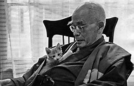 Sencillas lecciones Zen del maestro D. T. Suzuki - Cultura Inquieta