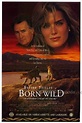 Born Wild (1995) — The Movie Database (TMDB)