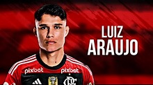 Luiz Araújo • Bem Vindo Ao Flamengo • 2023 | HD - YouTube