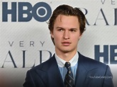 Get to Know Ansel Elgort Height: Facts, Figures, and Insights » YTC
