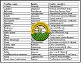 Nombre comun y cientifico de varias plantas. (folleto descargable.)