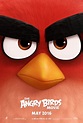 ANGRY BIRDS Movie Teaser Trailer, Images and Poster | The Entertainment ...