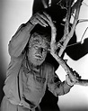 LON CHANEY JR. in THE WOLF MAN -1941-. Photograph by Album - Fine Art ...