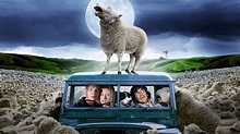 ‎Black Sheep (2006) directed by Jonathan King • Reviews, film + cast ...