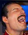 freddie mercury teeth - Google Search Freddie Mercury Teeth, Freddie ...