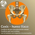Coxis – hueso ilíaco | Sanar las heridas. Coaching de Salud Integral.