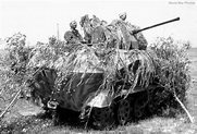 SdKfz 251/17 of 1st Fallschirm-Panzer Division Hermann Göring | World ...