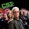 CSI: Crime Scene Investigation, Season 12 on iTunes