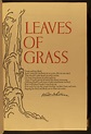 Leaves of Grass 2 – Walt Whitman: In His Time and Ours