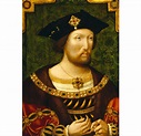 Henry VIII on Tour: Royal Progresses and Tudor Palaces - HRP Blogs