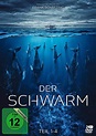 Der Schwarm | Film-Rezensionen.de