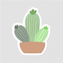 Cute aesthetic mini cactus sticker. Isolated Illustration. Flat style ...