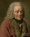 Portrait of Voltaire, Francois Marie Arouet Painting by Pierre Michel ...