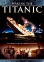 Best Buy: Waking the Titanic [DVD] [2012]