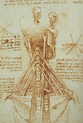 Leonardo da Vinci Range. Anatomical sketch, 1515 : Descriptif de l ...