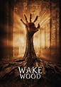 Wake Wood - película: Ver online completas en español