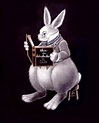 GRACE SLICK AND HER WHITE RABBITS | White rabbits, Alice in wonderland ...