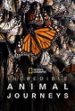 Incredible Animal Journeys (2023) - TheTVDB.com