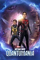 Ant-Man and the Wasp: Quantumania (2023) - Posters — The Movie Database ...