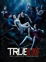 TV Show Review: True Blood | ISAAC HUNTER
