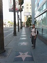 Paseo de la Fama de Hollywood - Viajeros Callejeros