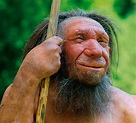 Archaeologists Find New Evidence that Neanderthals Used Toothpicks ...