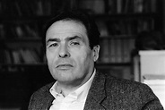Pierre Bourdieu Biography and His Work