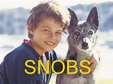 Snobs (2003) Complete Series with Indiana Evans, Ross Perrelli | iOffer ...