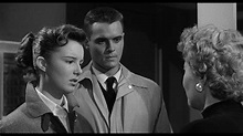 Quella che avrei dovuto sposare (1956) di Douglas Sirk : Cult e ...